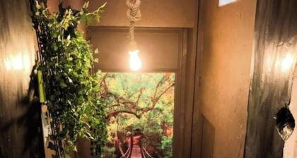 Le TULUM, hyper center, place aux herbes