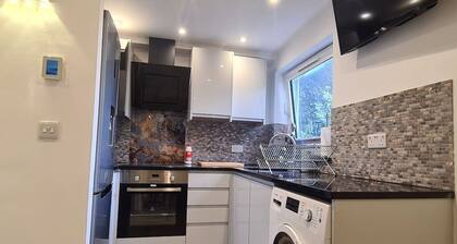 THE ONE- luton 1 bed, free parking