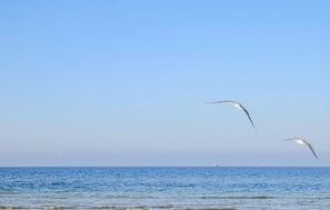 Nær stranden