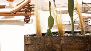 Um terraço no telhado com espreguiçadeiras, um vaso de madeira com cactos e plantas em vasos.