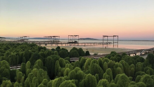Un paisaje costero con varias pasarelas de madera que se adentran en el agua, rodeado de densa vegetación verde.