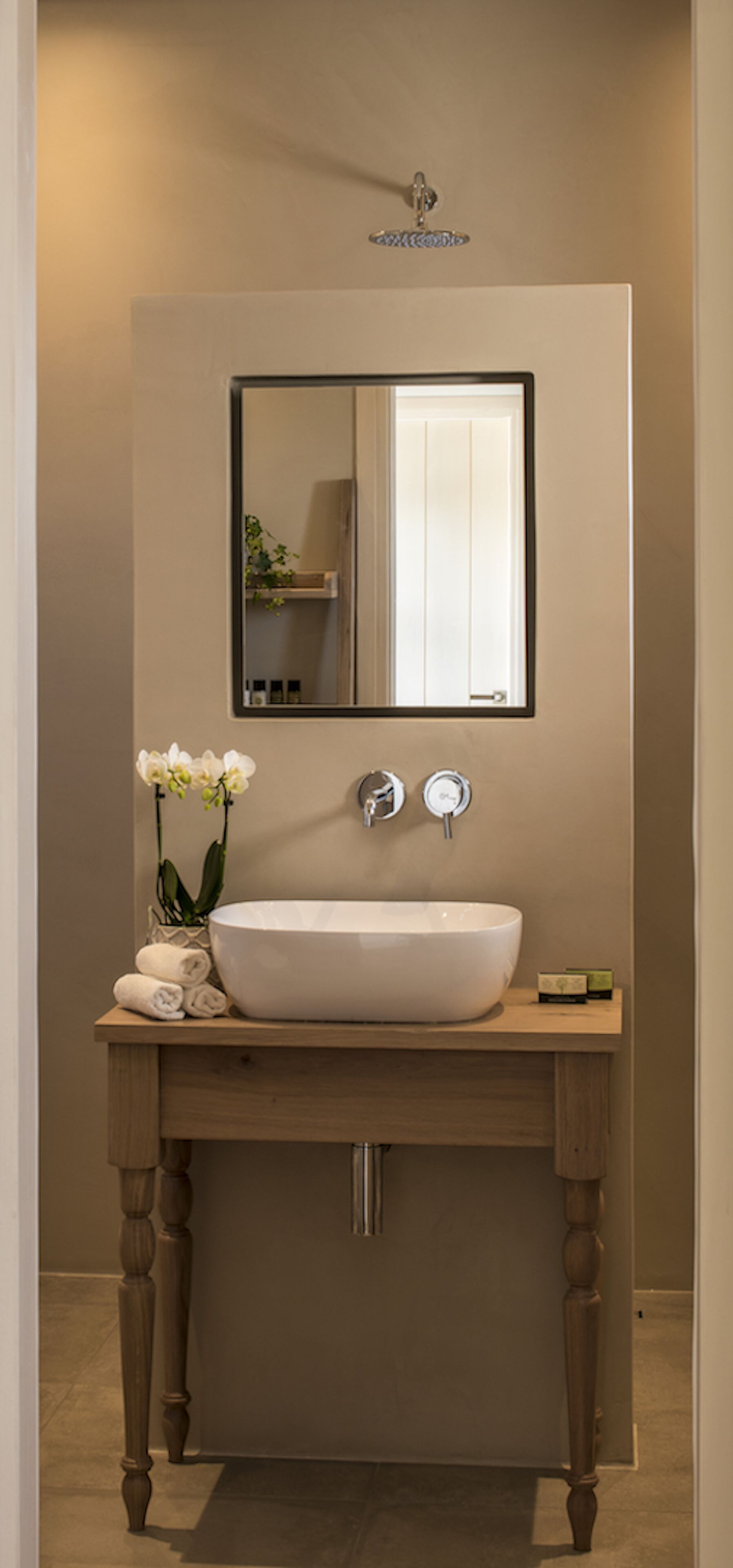 A bathroom with a large white sink, a mirror, and a small orchid plant.