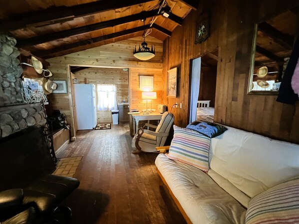Books, stereo - Incredible Lake Michigan views/sunsets. Intimate cottage with sandy beach. (Arcadia)