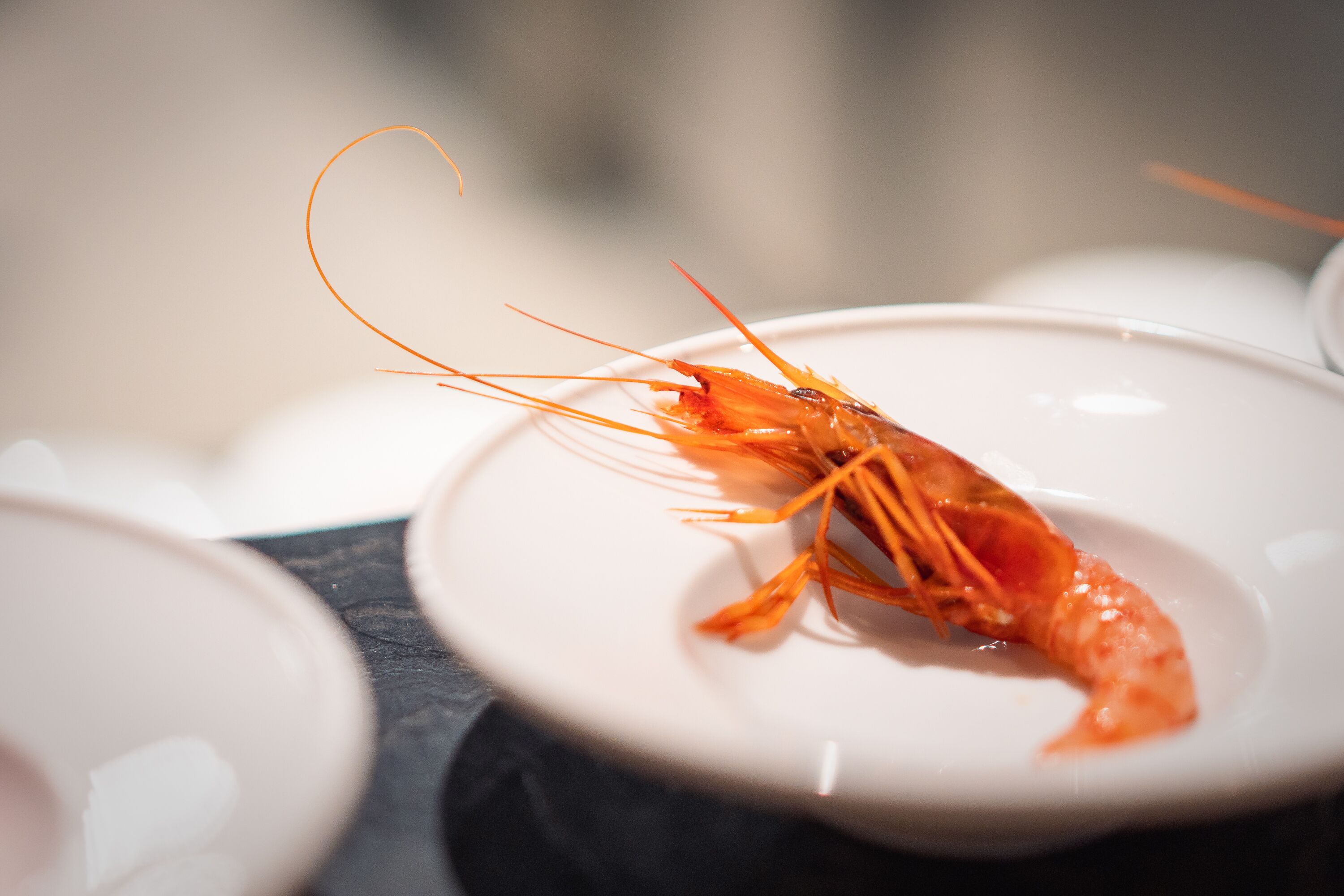 Gros plan d’une crevette cuite sur une assiette blanche.