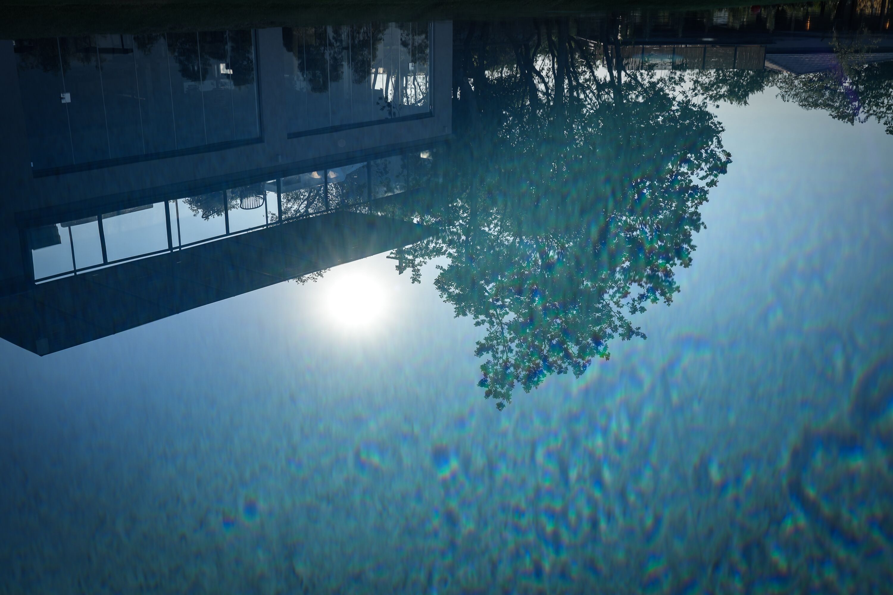 A building with a reflective pool and a tree reflected in the water.