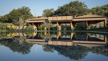 Egyptian cotton sheets, premium bedding, down comforters