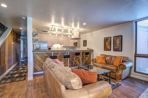 电视、壁炉、DVD 播放器