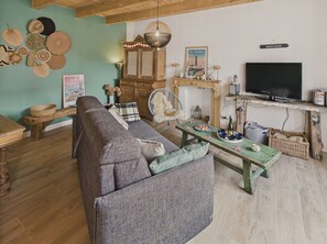 تلفزيون، مدفأة، مشغل دي في دي