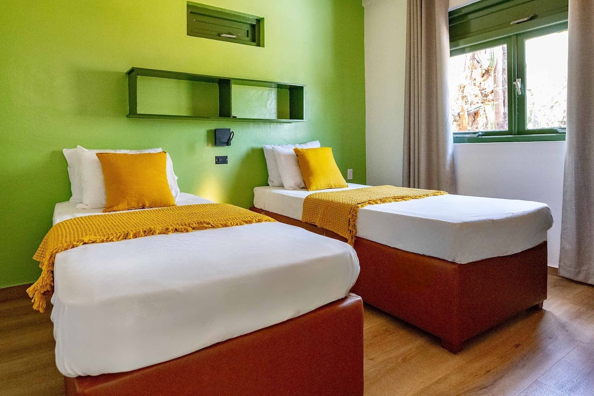 Two beds with white linens and yellow accents, a green wall, and a window with curtains.