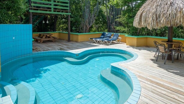 A swimming pool with a wooden deck, lounge chairs, and a thatched umbrella. - Dream Of The Green Flamingo (Sint Willibrordus)