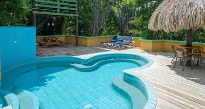 Dream Of The Green Flamingo