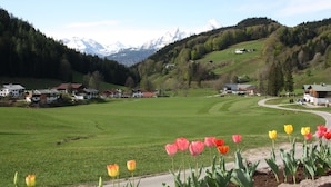 A rural landscape with a field of tulips, houses, and a mountain range in the background. - Tauernblick vacation apartment - so close to heaven! Maria- Gern, 4 stars. (Berchtesgaden)