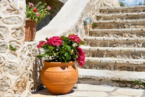 Un pot en terre cuite orné de fleurs roses, placé sur un mur de pierre, à côté d’un escalier.