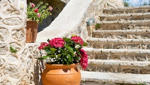 Una olla de terrissa amb flors roses sobre un mur de pedra al costat d'una escala de pedra.