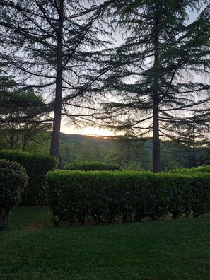 Overnattingsstedets uteområder