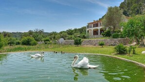 A serene pond with swans, surrounded by lush greenery and a stone wall. - Villa "Plomera" with Private Pool & Wi-Fi (POLLENSA)