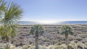 Paisaje costero con vegetación seca y palmeras, que desemboca en una playa.