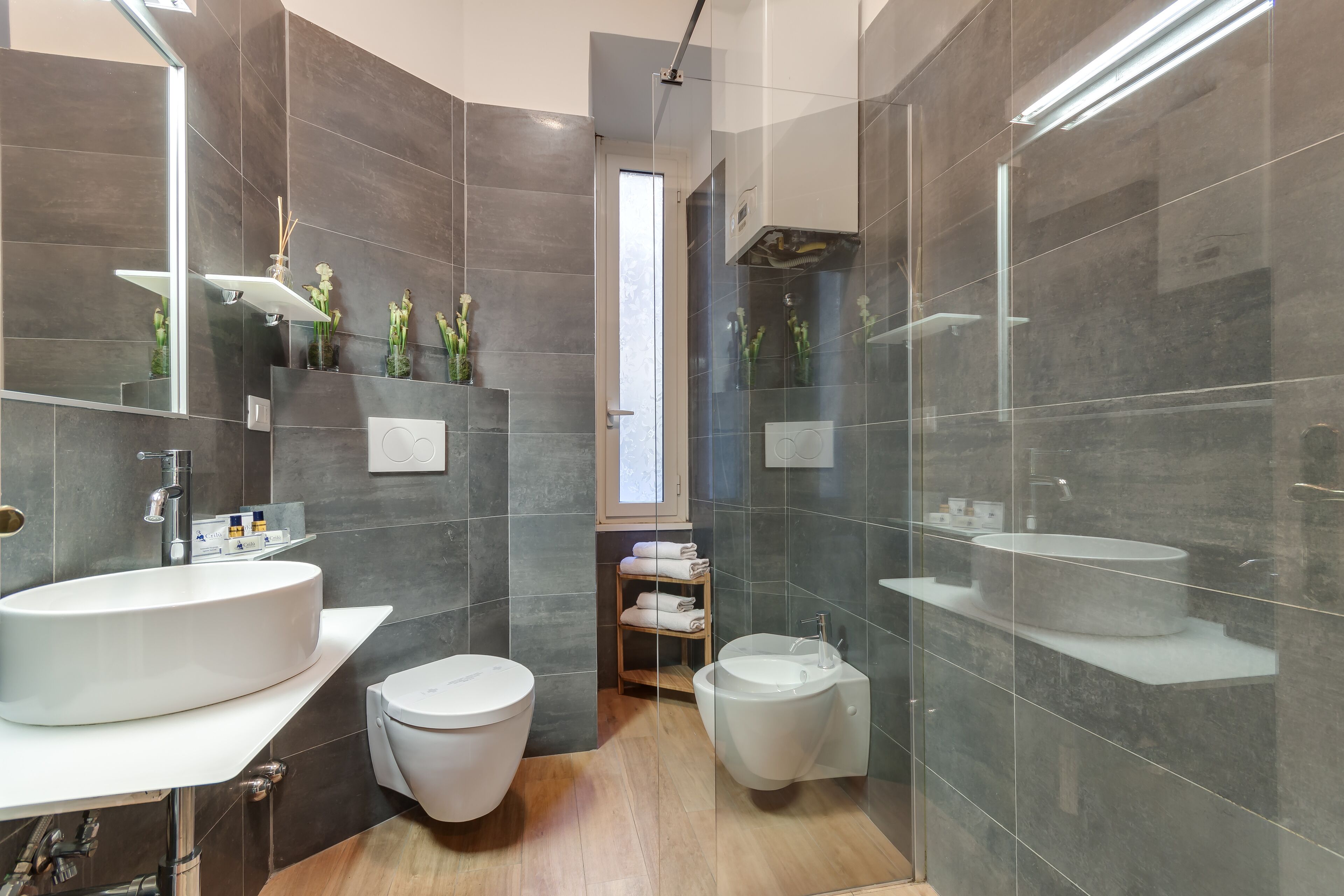 Shower, hair dryer, bidet, towels