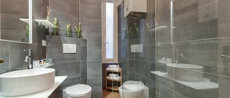 Shower, hair dryer, bidet, towels