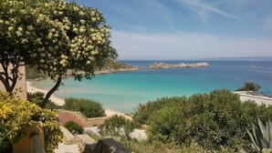 Ett kustlandskap med fri utsikt över havet, en sandstrand och ett träd med vita blommor.