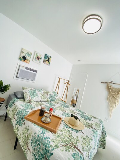 Studio Apt in the Heart of Little Havana Apt - 3D