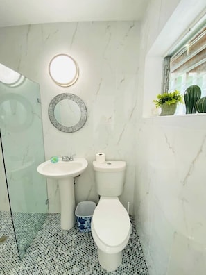 Hair dryer, towels, soap, shampoo