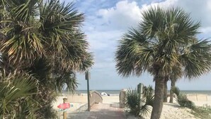 Un sendero que lleva a una playa con palmeras a ambos lados.
