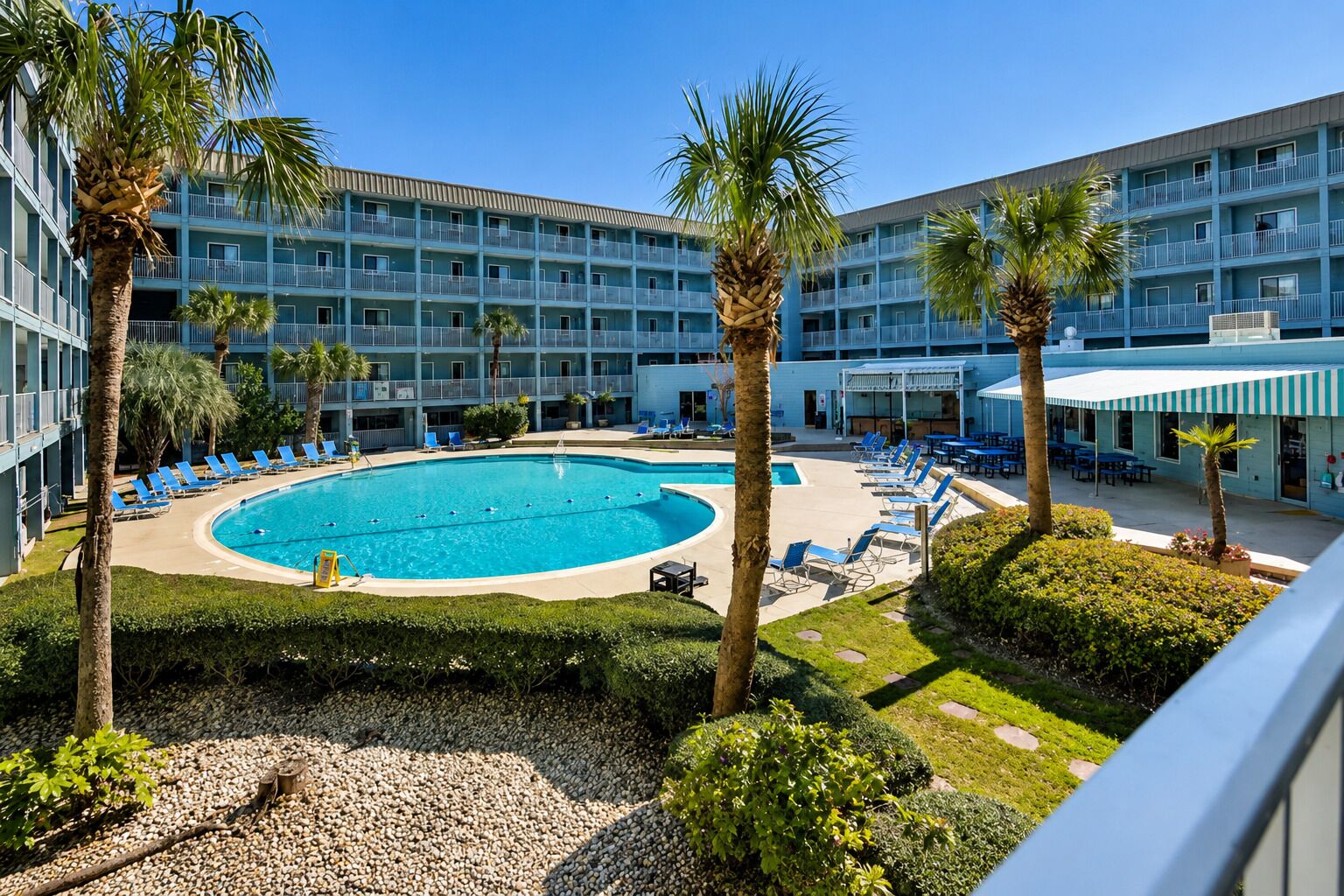 A hotel with a swimming pool surrounded by palm trees and lounge chairs.