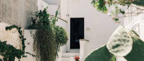 Un estrecho callejón con edificios blancos, una puerta a la vista y plantas colgantes.