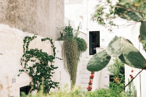 Terraço/pátio