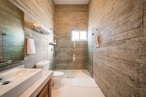 Shower, hair dryer, towels