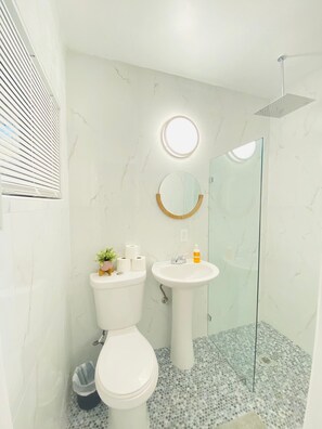 Secadora de cabello, toallas, jabón, shampoo 