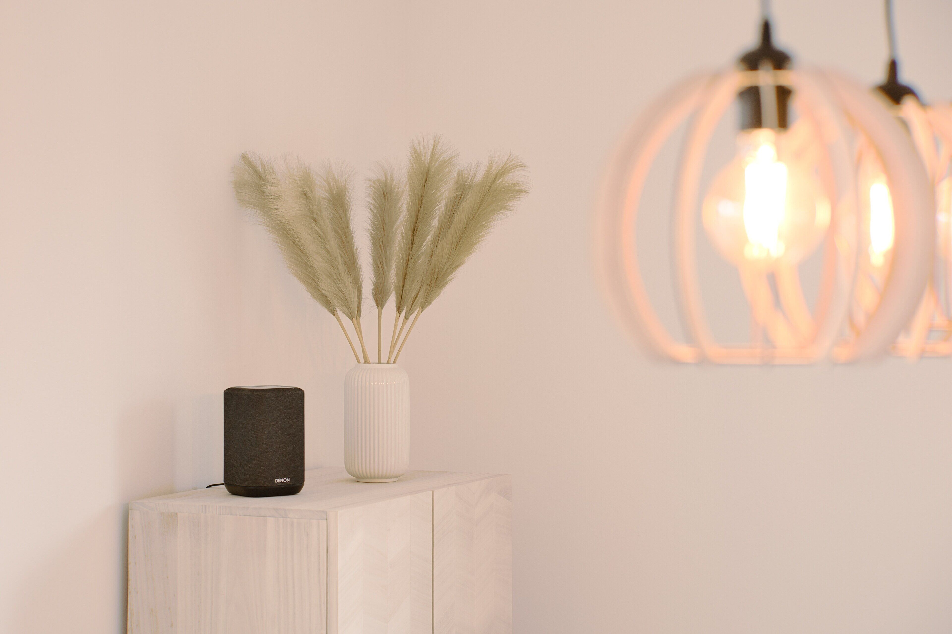 A minimalist decor setup with a speaker and pampas grass in a white vase on a wooden cabinet, and a soft-lit hanging light fixture.