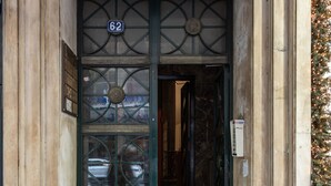 A building entrance with a numbered door, steps leading up to it, and a Christmas tree on the right.