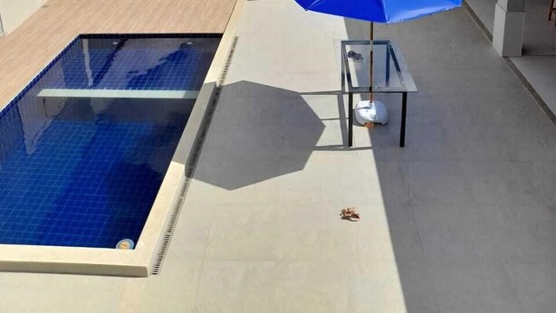 Una piscina en la azotea con un paraguas azul, rodeada por un edificio moderno y vistas a colinas onduladas.