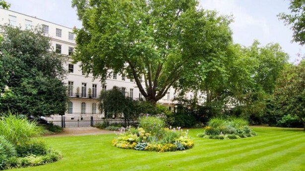 Un grande albero in un giardino curato, con un edificio sullo sfondo.