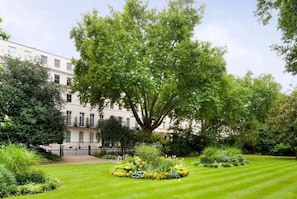 Un grand arbre dans un jardin bien entretenu, avec un bâtiment en arrière-plan.