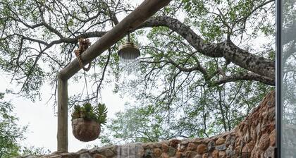 Grace of Africa, Marula Suite, Kruger National Park Accommodation