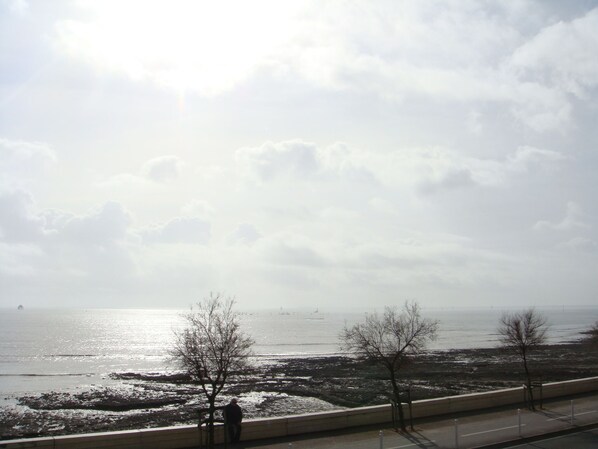 A coastal view with a paved walkway, trees, and a distant body of water.