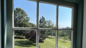 A window with a view of a grassy landscape and trees.