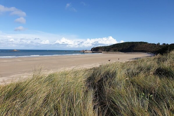 Plage à proximité