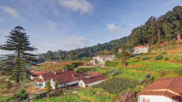 Un pueblo rural con campos en terrazas, casas tradicionales con techos de tejas rojas y un pino destacando.