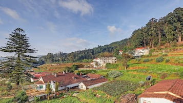 Vista aérea