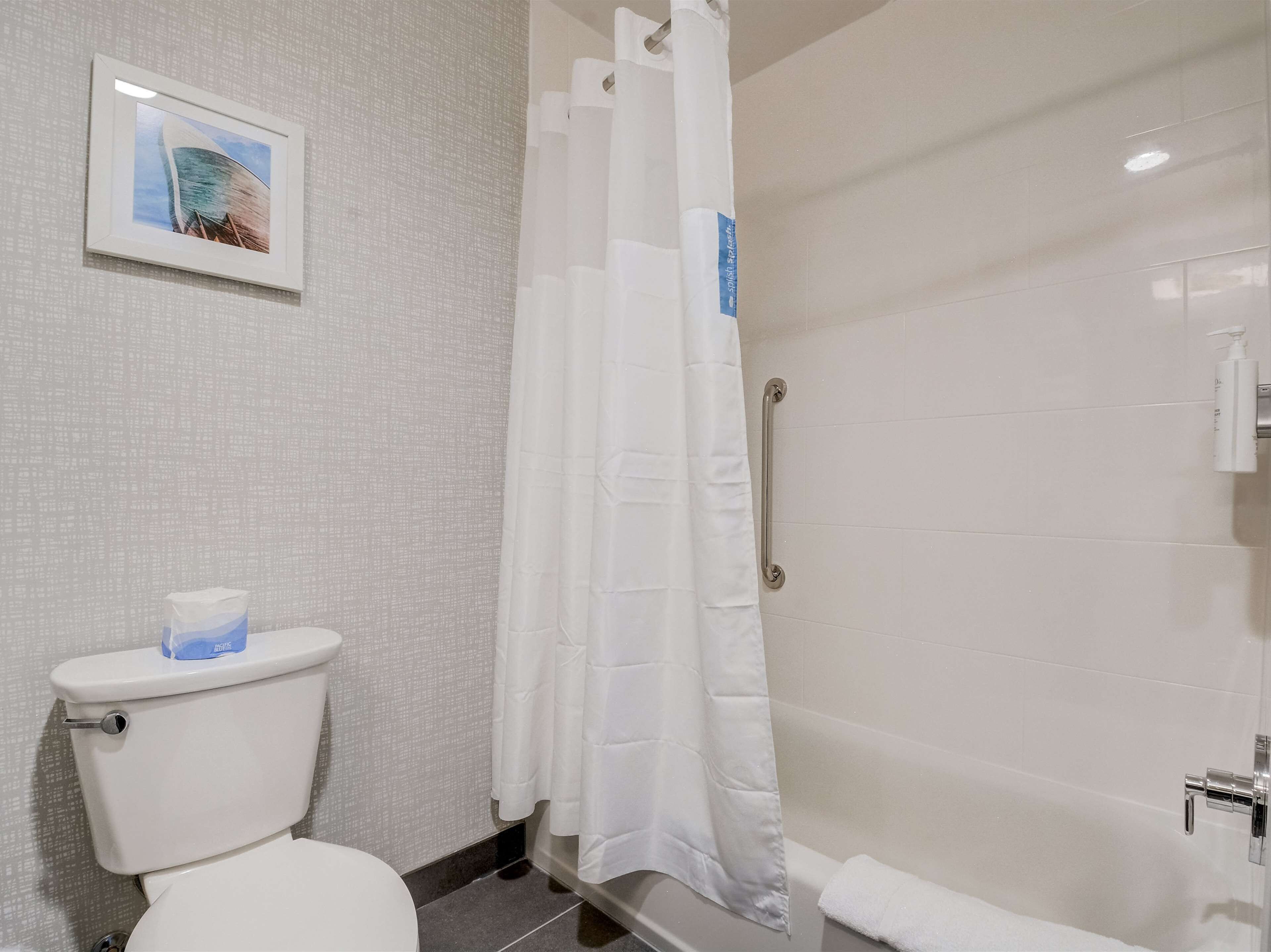 A bathroom with a toilet, a shower curtain, a grab bar, and a framed picture on the wall.