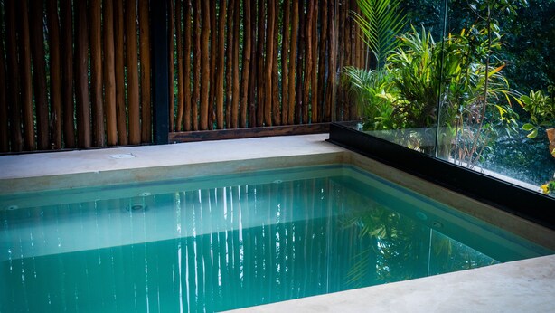 Une piscine rectangulaire à l’eau claire, entourée d’une clôture en bois et d’une végétation luxuriante.