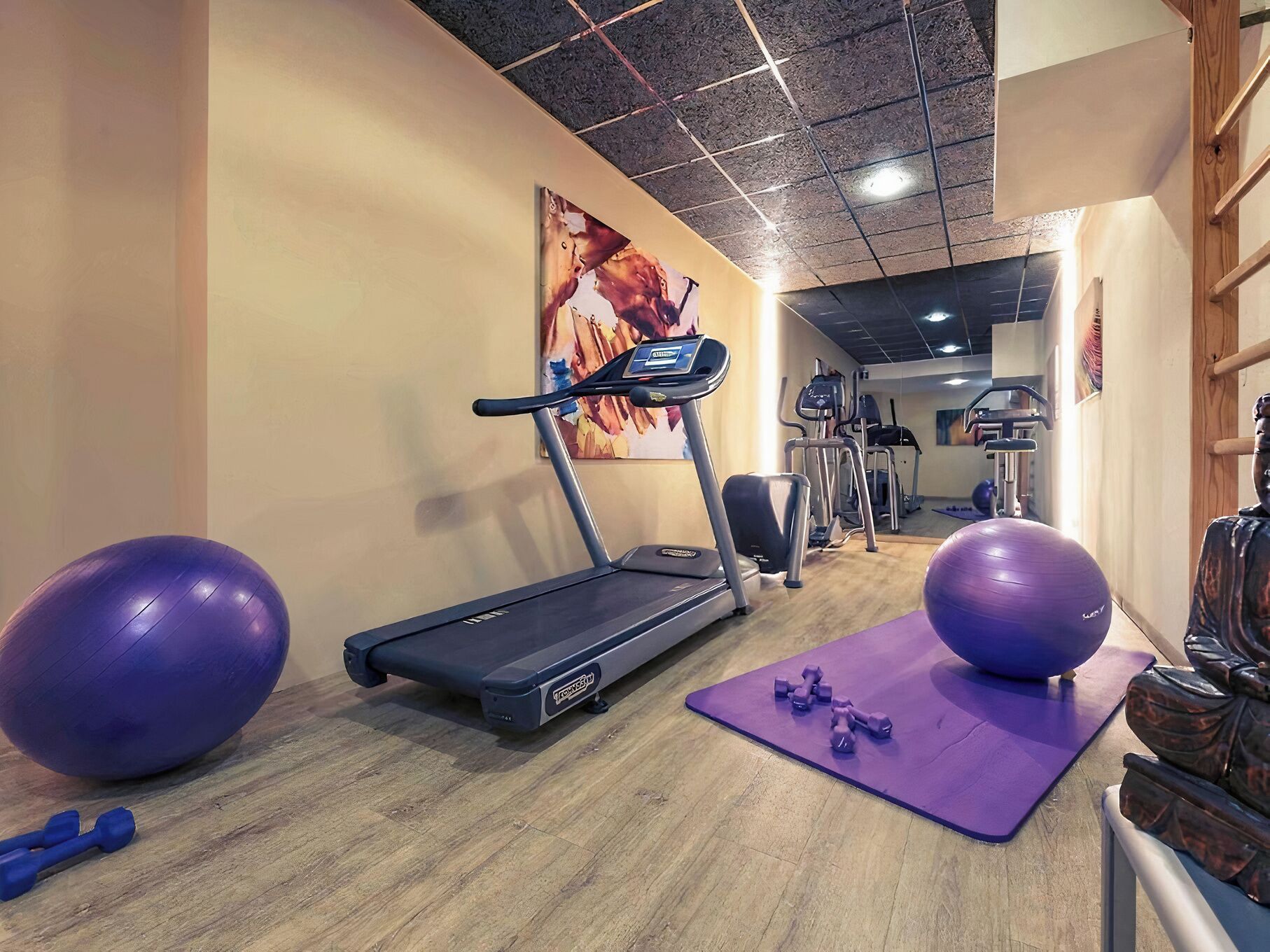 A gym with a treadmill, exercise balls, and dumbbells.