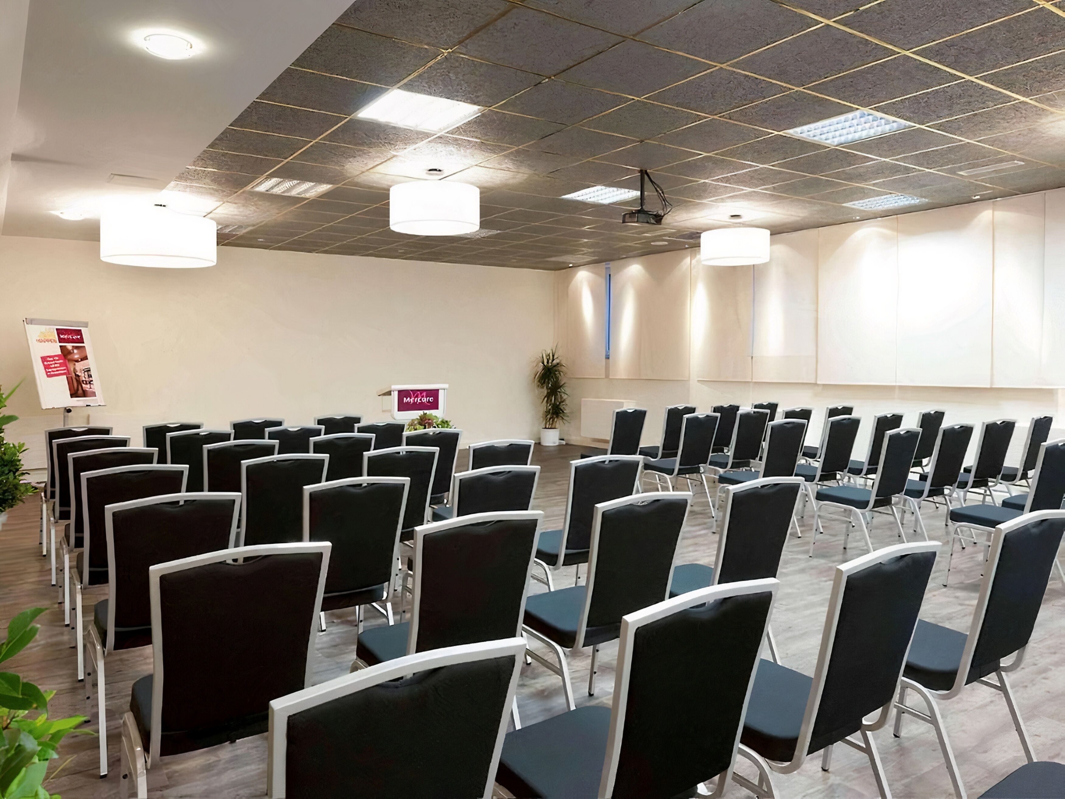 A conference room with rows of chairs, a podium, and a potted plant.