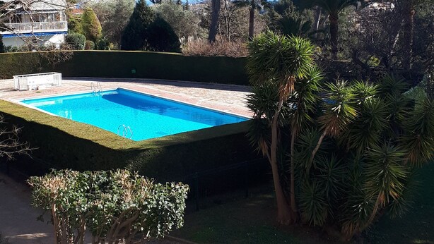 Una piscina rodeada de follaje y un edificio al fondo.