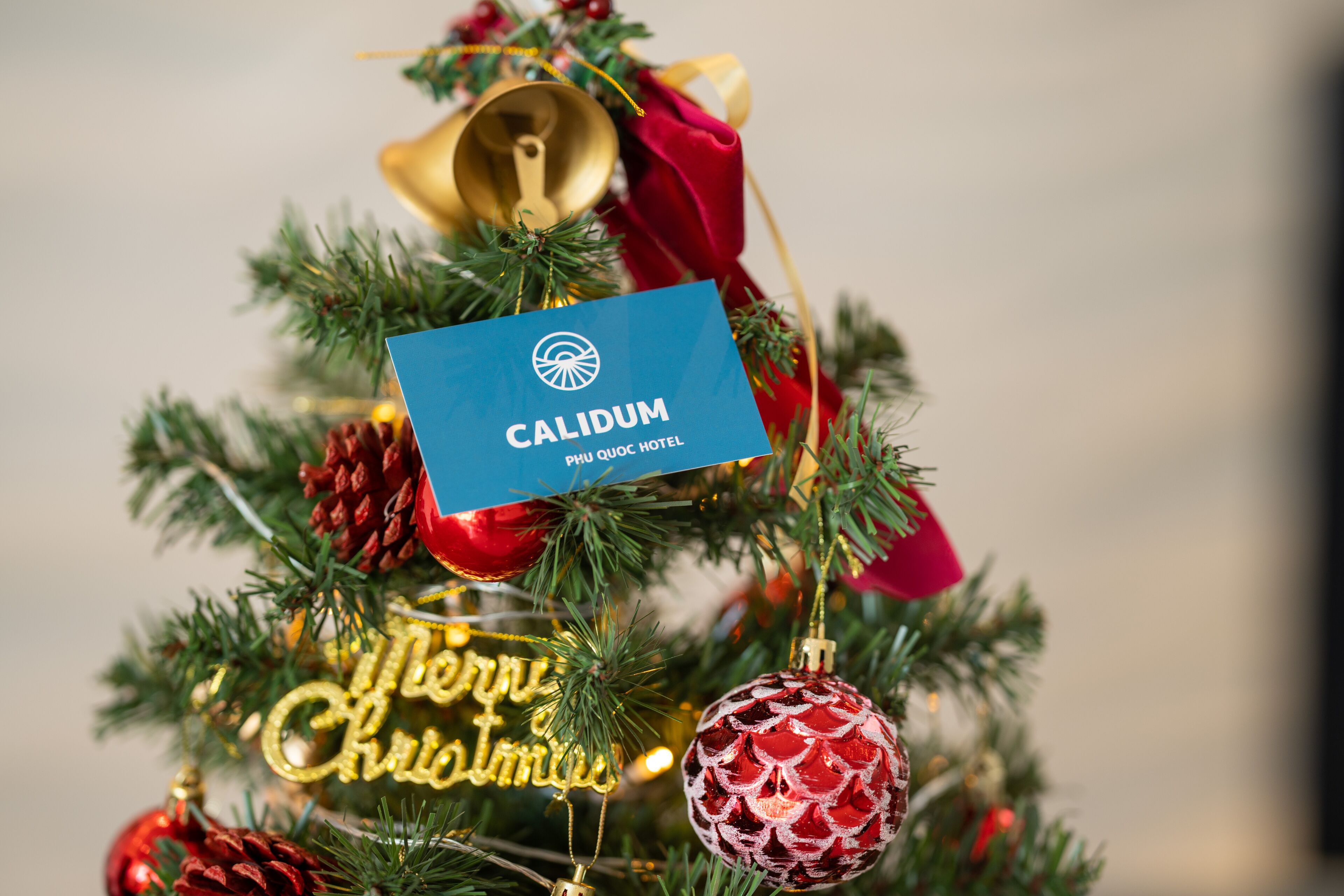 Foto - Calidum Phu Quoc Hotel