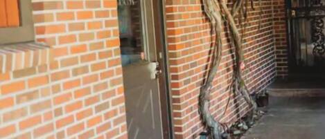 Détail de l’extérieur